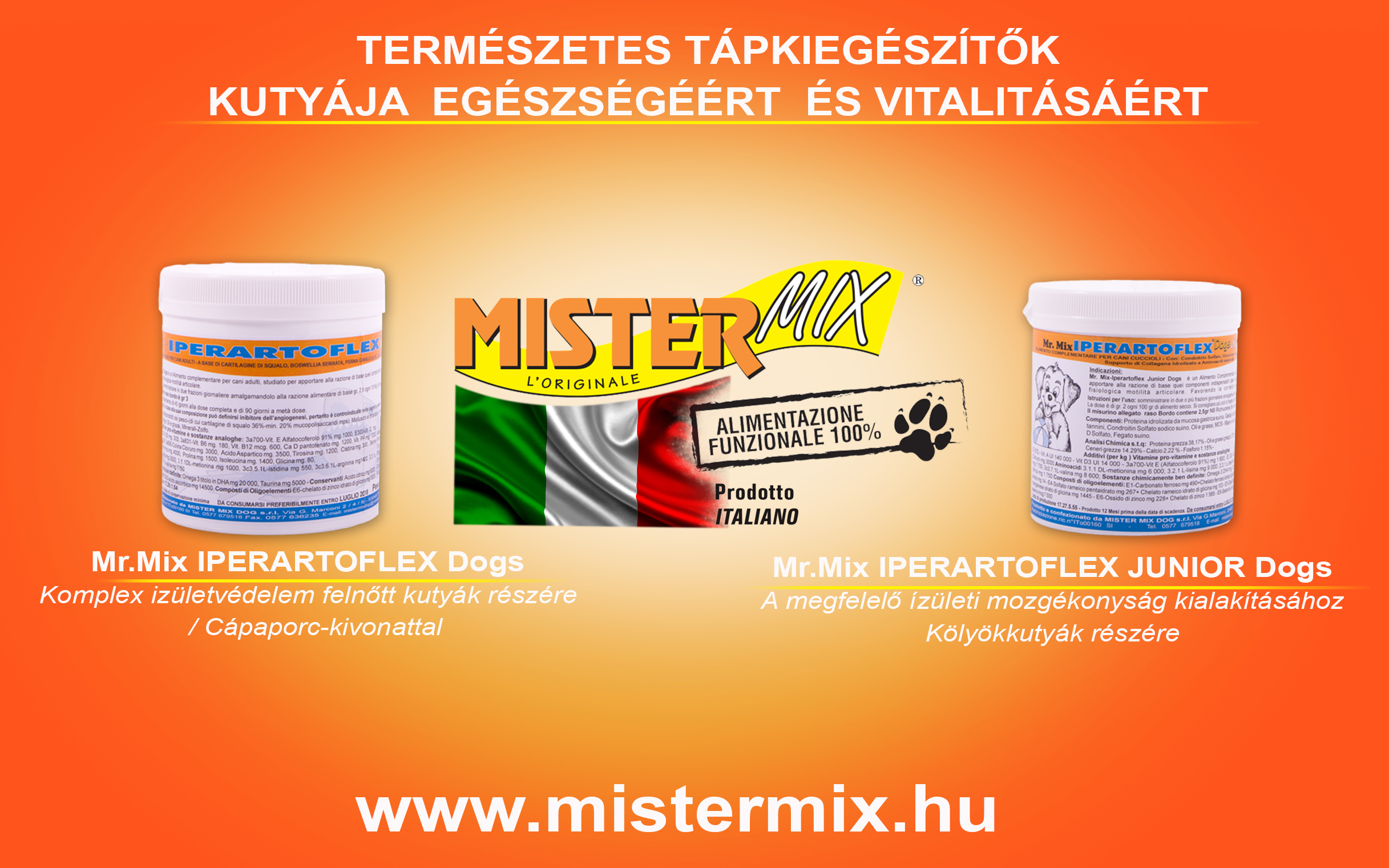 Tápkiegészítők kutyáknak: melyik a legjobb választás?