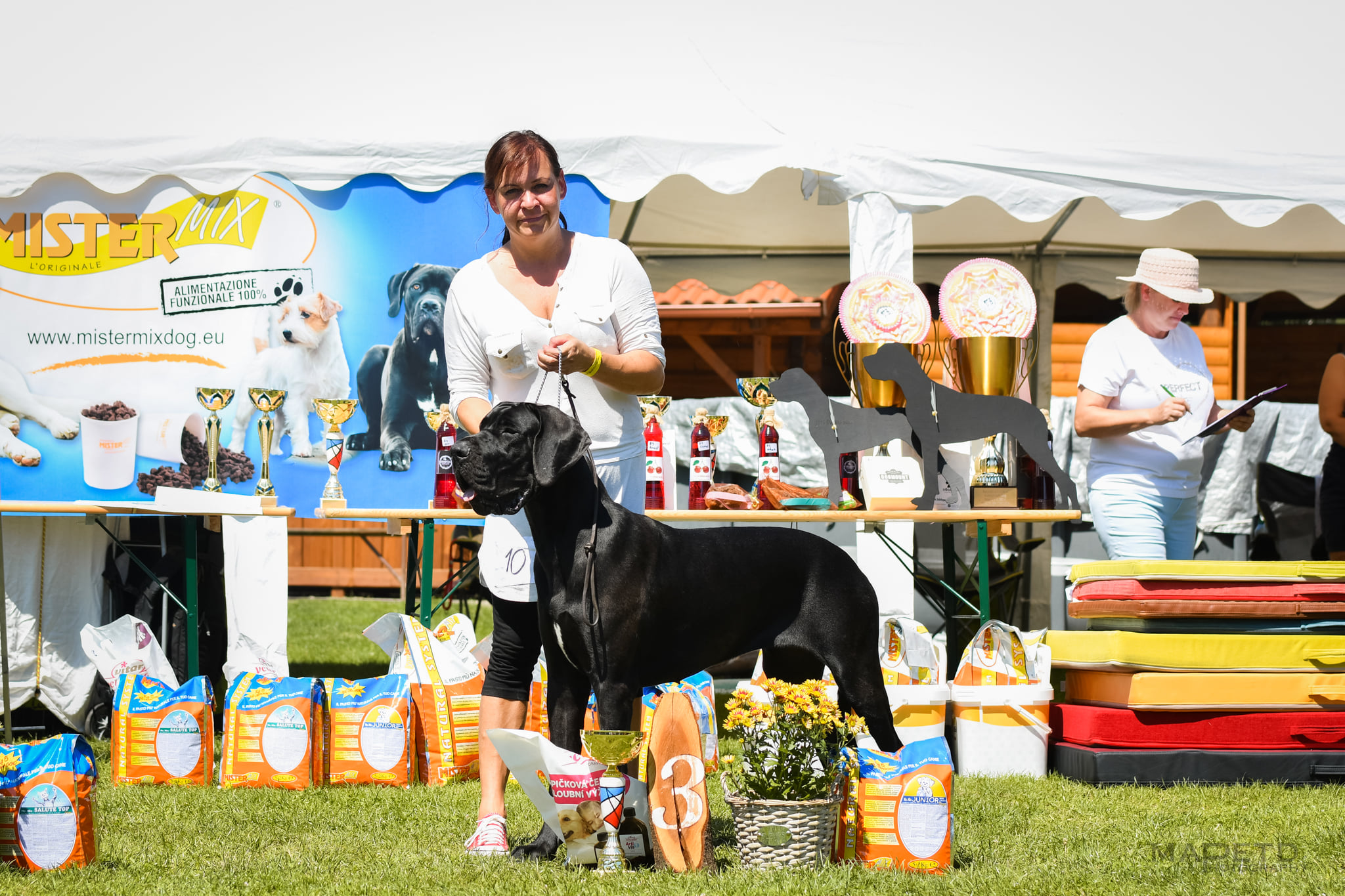 7.8.2021 SPECIAL DOG SHOW / SLOVAKIA