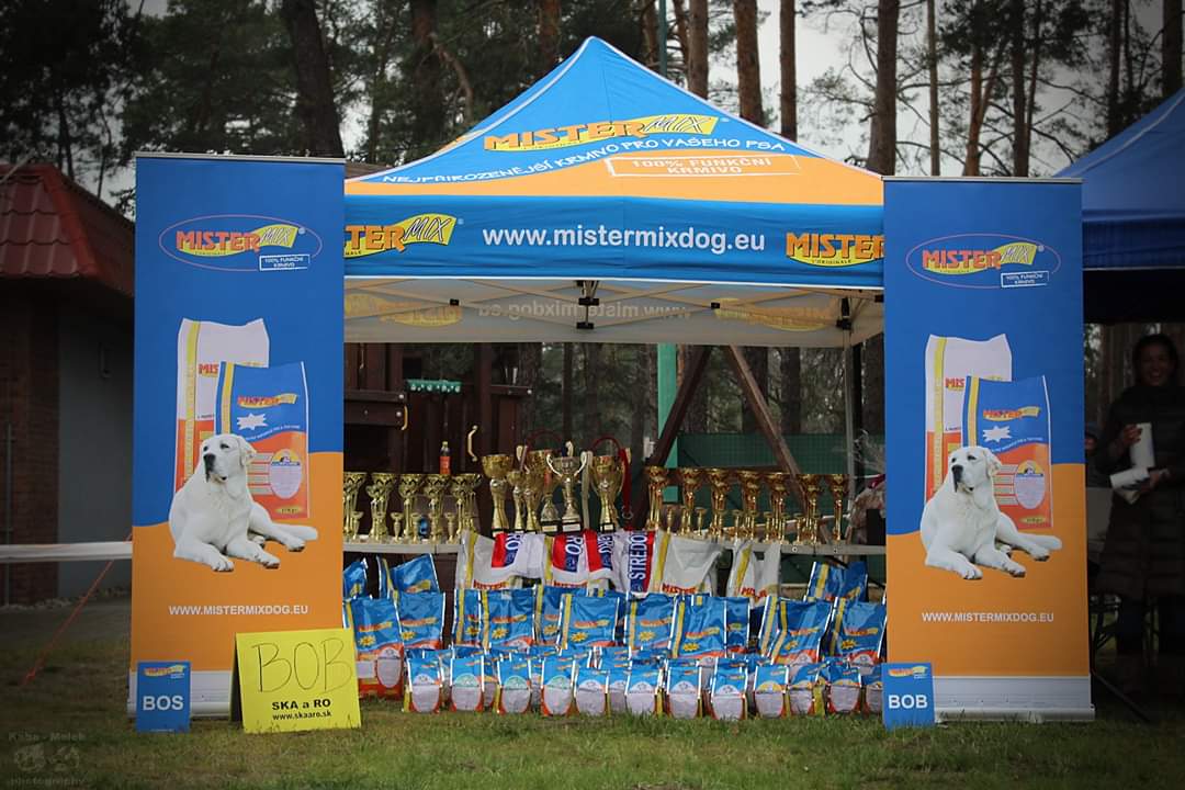 18. CENTRAL EUROPEAN SPECIAL DOG SHOW SKÁARO SLOVAKIA / 150 ENTERED DOGS / 13.4.2019