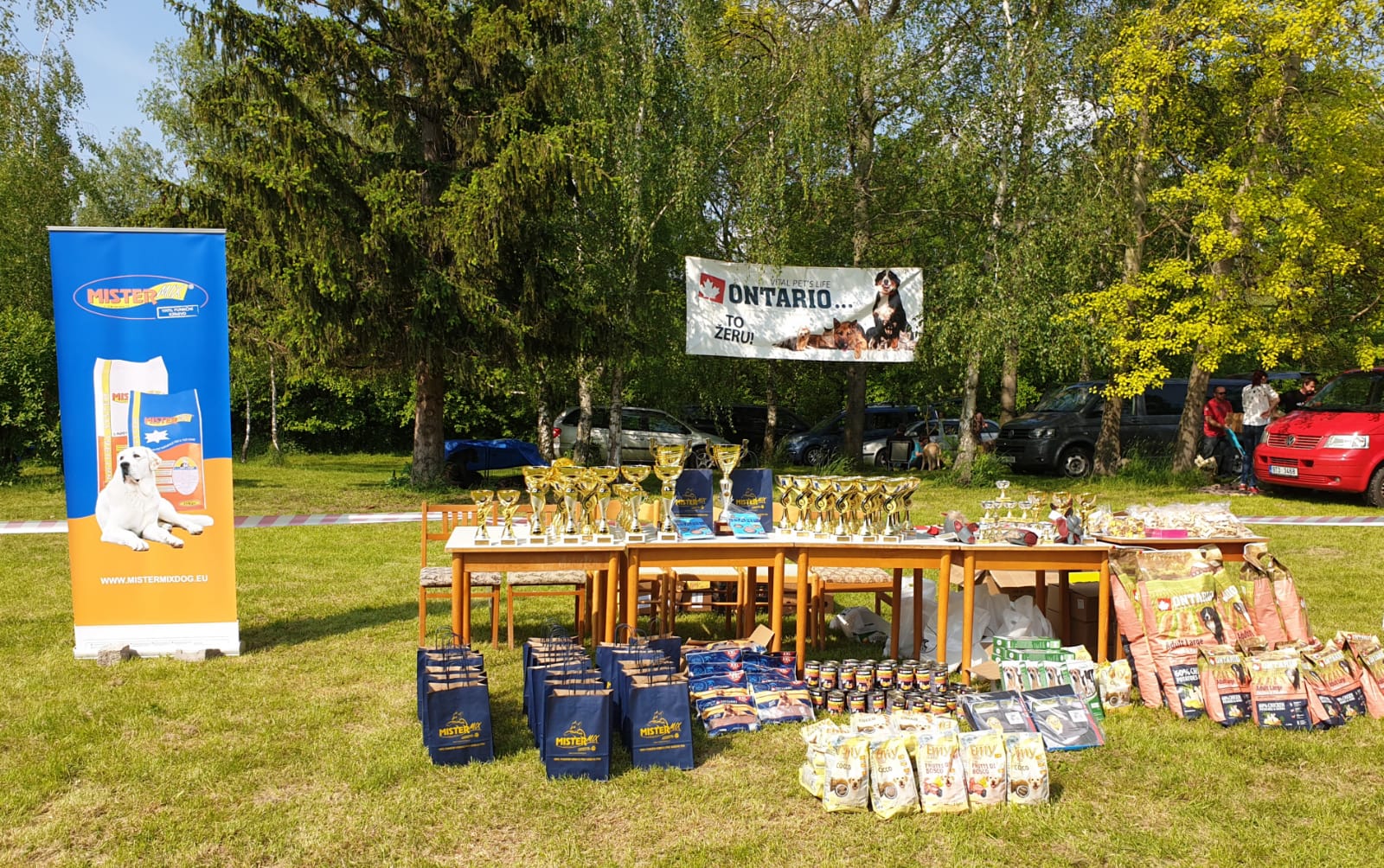 CLUB DOG SHOW - MOLOSS CLUB, MC 2019 26.5., CHOŤOVICE, CZECH REPUBLIC