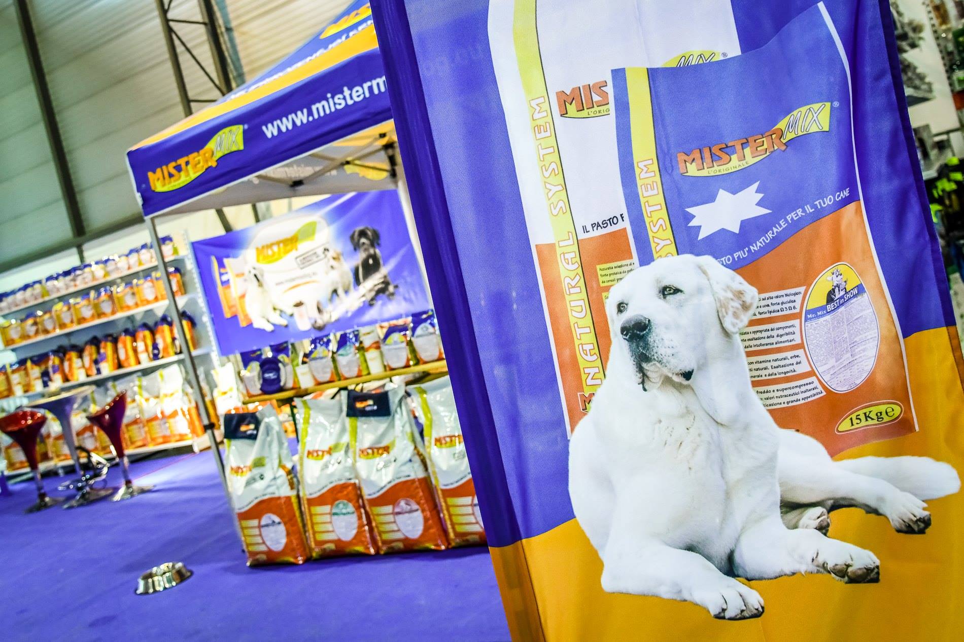 NATIONAL DOG SHOW FOR ALL BREEDS 2019, Brno, Czech republic