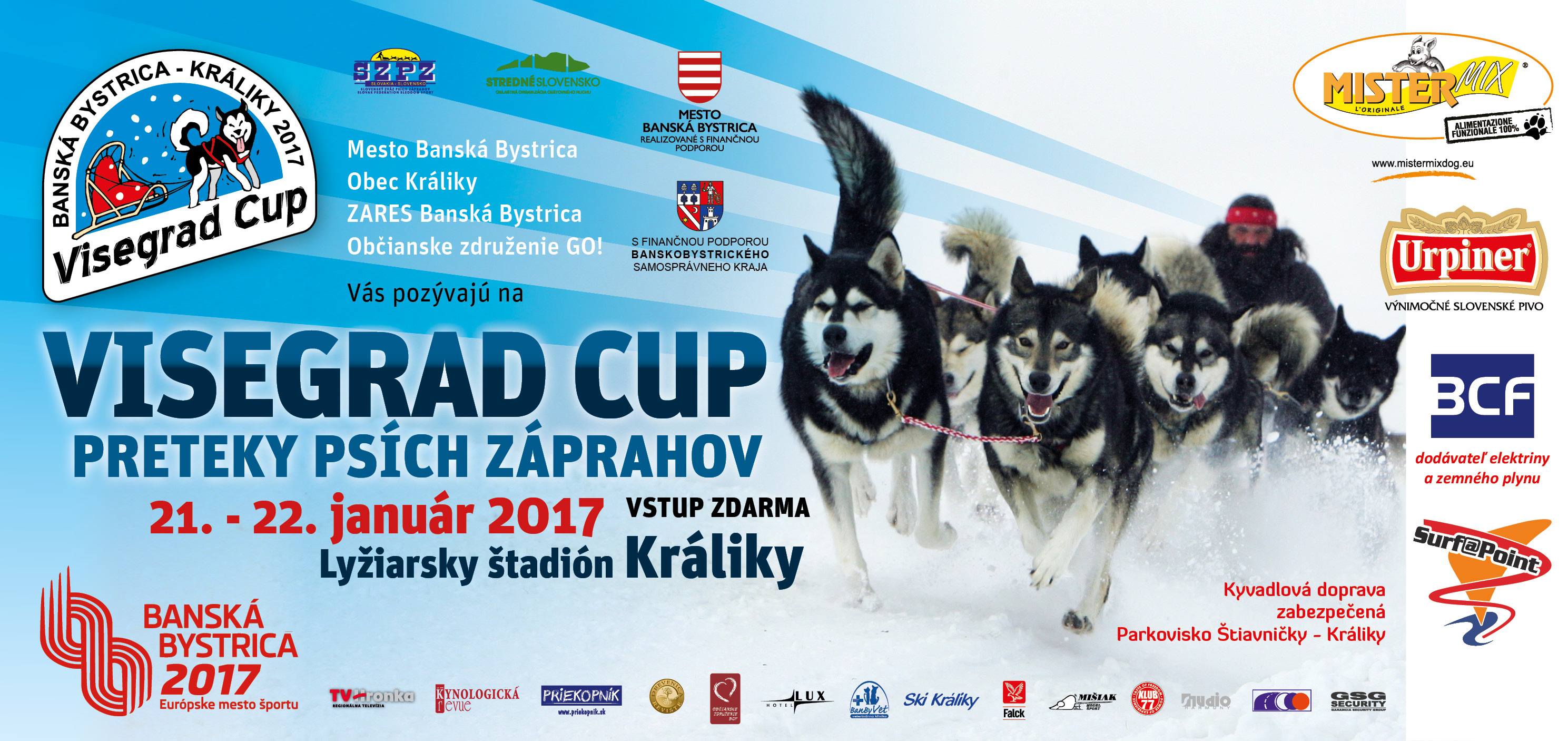 VISEGRAD CUP 2017, HUNGARIAN CHAMPIONSHIP, POLISH CHAMPIONSHIP