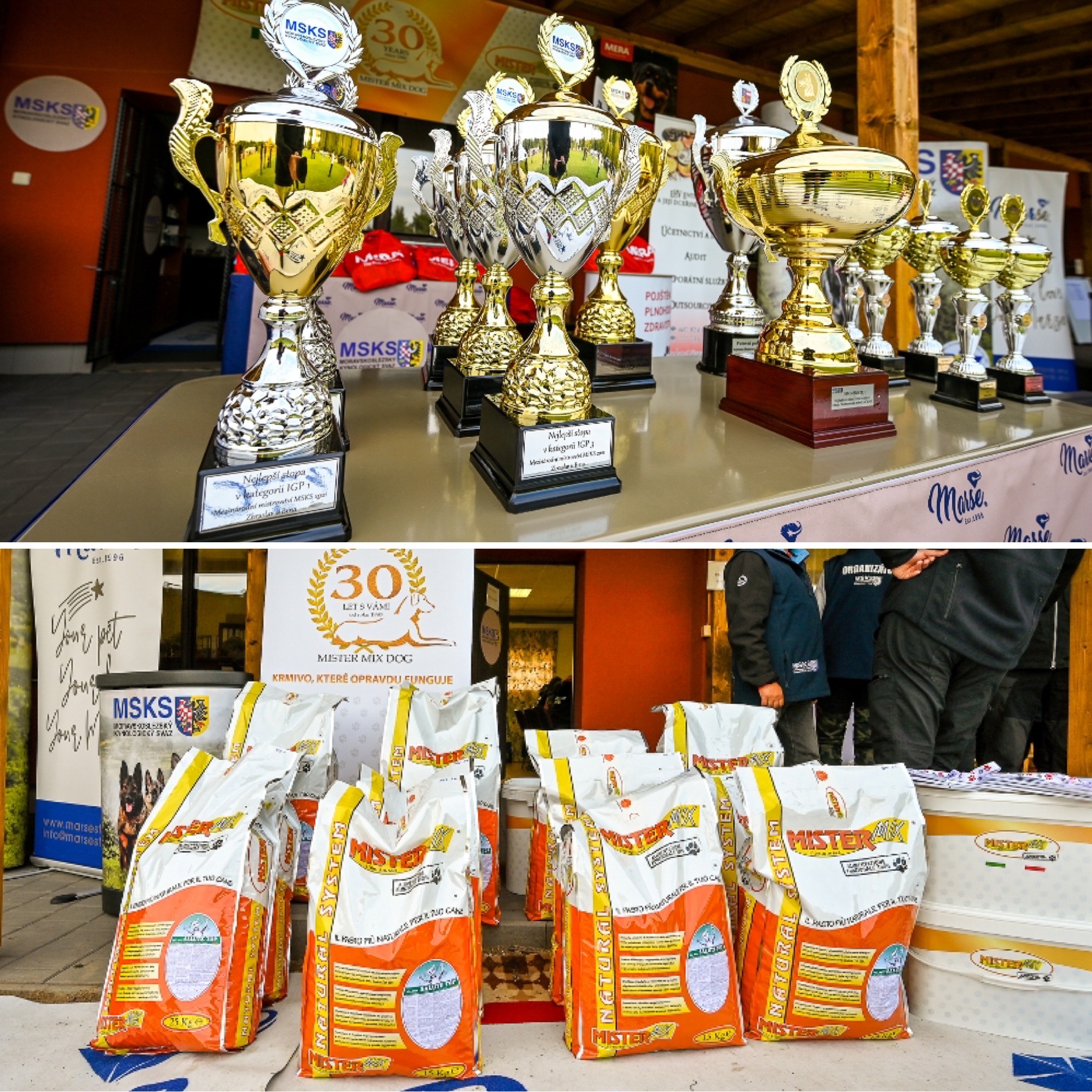 Mezinárodní Mistrovství MSKS 2021