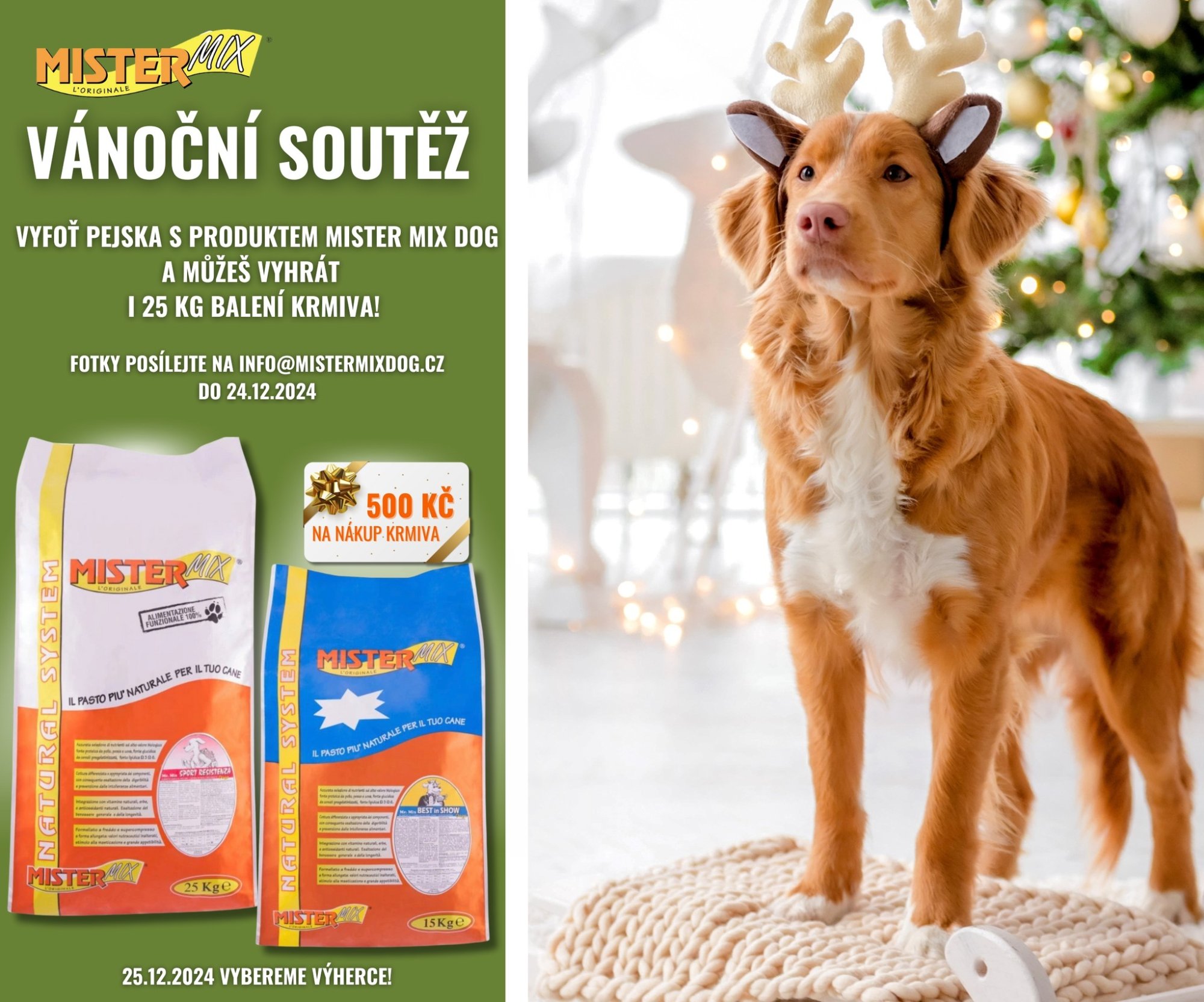 Vánoční soutěž s Mister Mix Dog