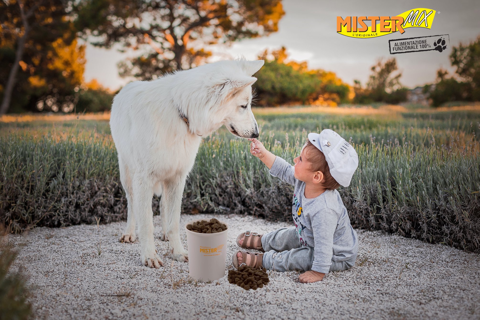 Průvodce krmivem pro psy