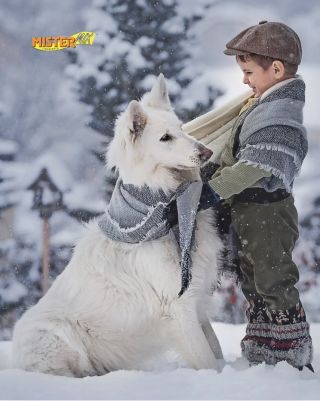 Když venku fouká studený vítr, teploty klesají a sníh přes noc přikryje zahradu, neznamená to jen teplejší oblečení pro...