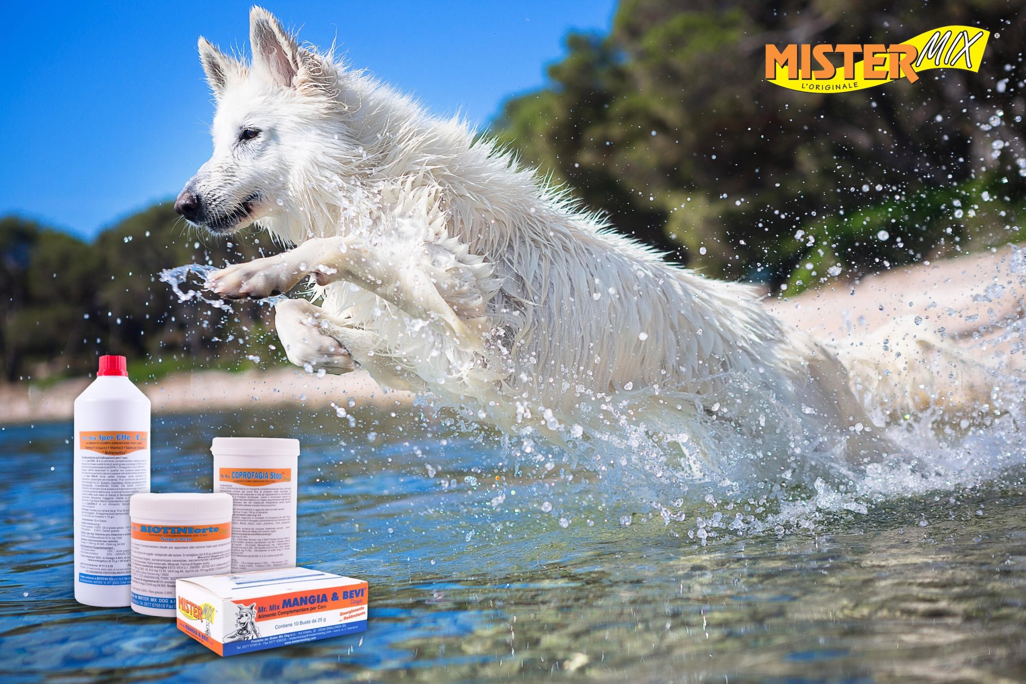 Suplementy diety dla psów: jaki wybór jest najlepszy?