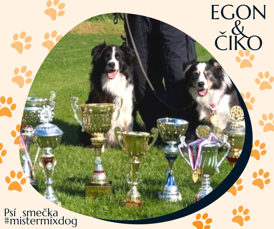 PSY POLICYJNE EGON I CIKO KOCHAJĄ MISTER MIX DOG
