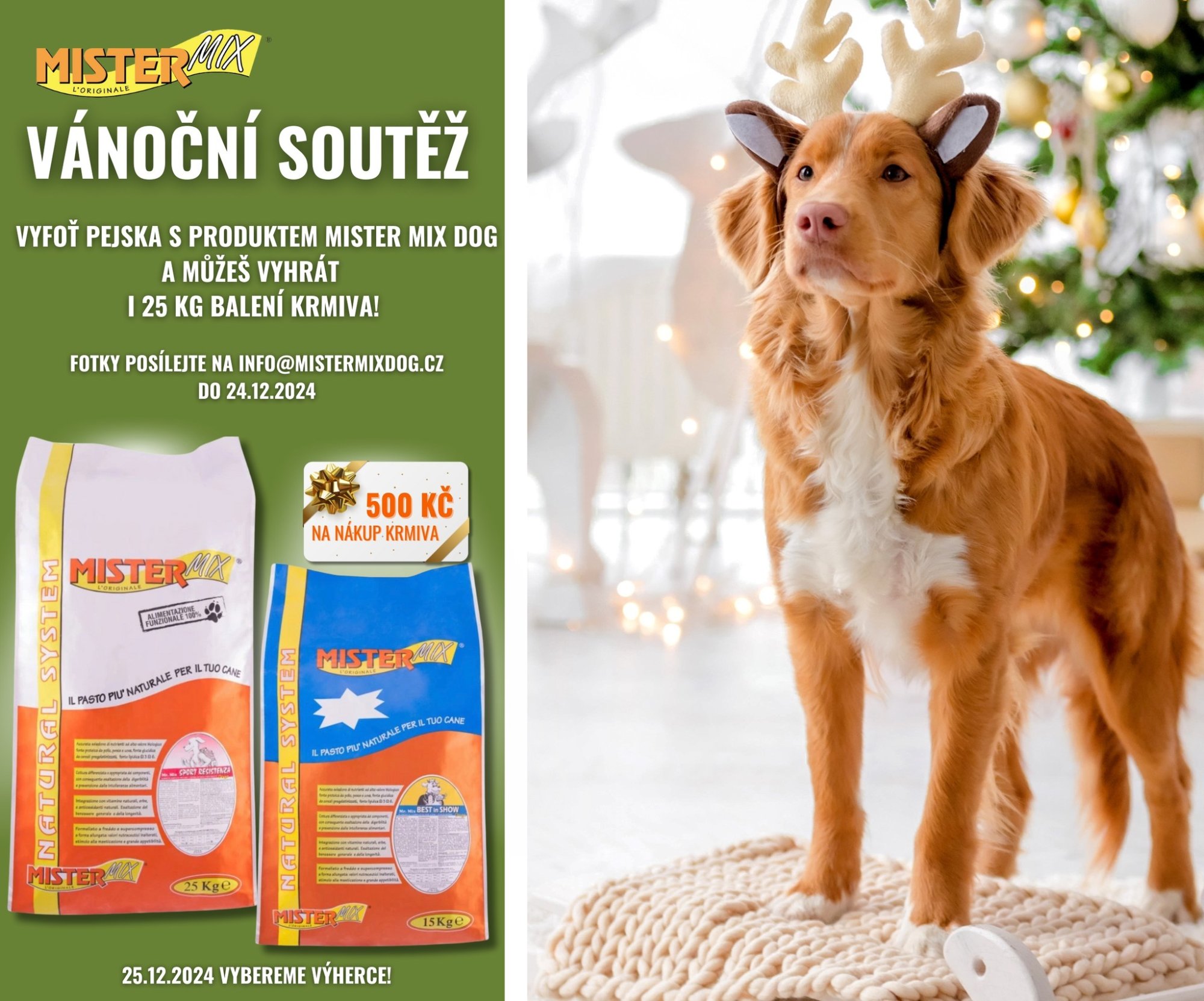 Vianočná súťaž s Mister Mix Dog