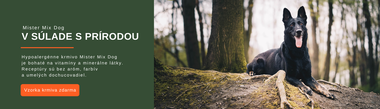 Mister Mix Dog a příroda