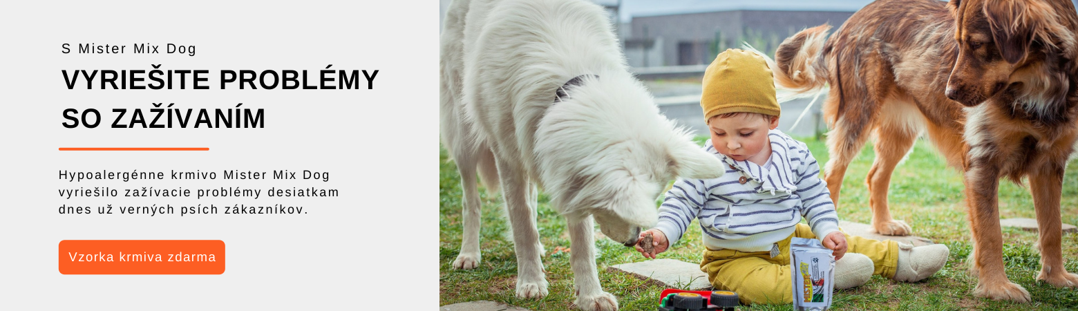 Mister Mix Dog a zažívání
