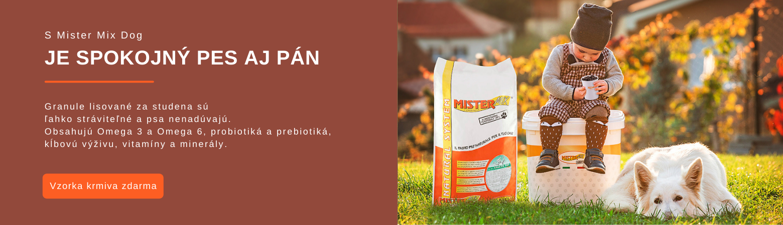 Mister Mix Dog a spokojený pes