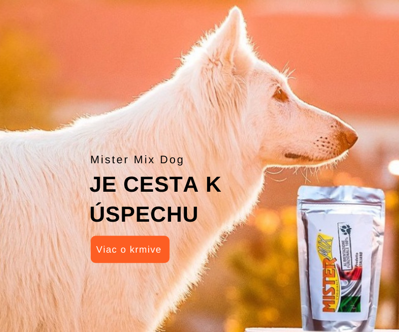 cesta k úspěchu