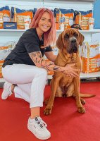                                     Ing. Klára-Anna Klust
                            