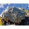 Pyrit - kámen hojnosti a prosperity