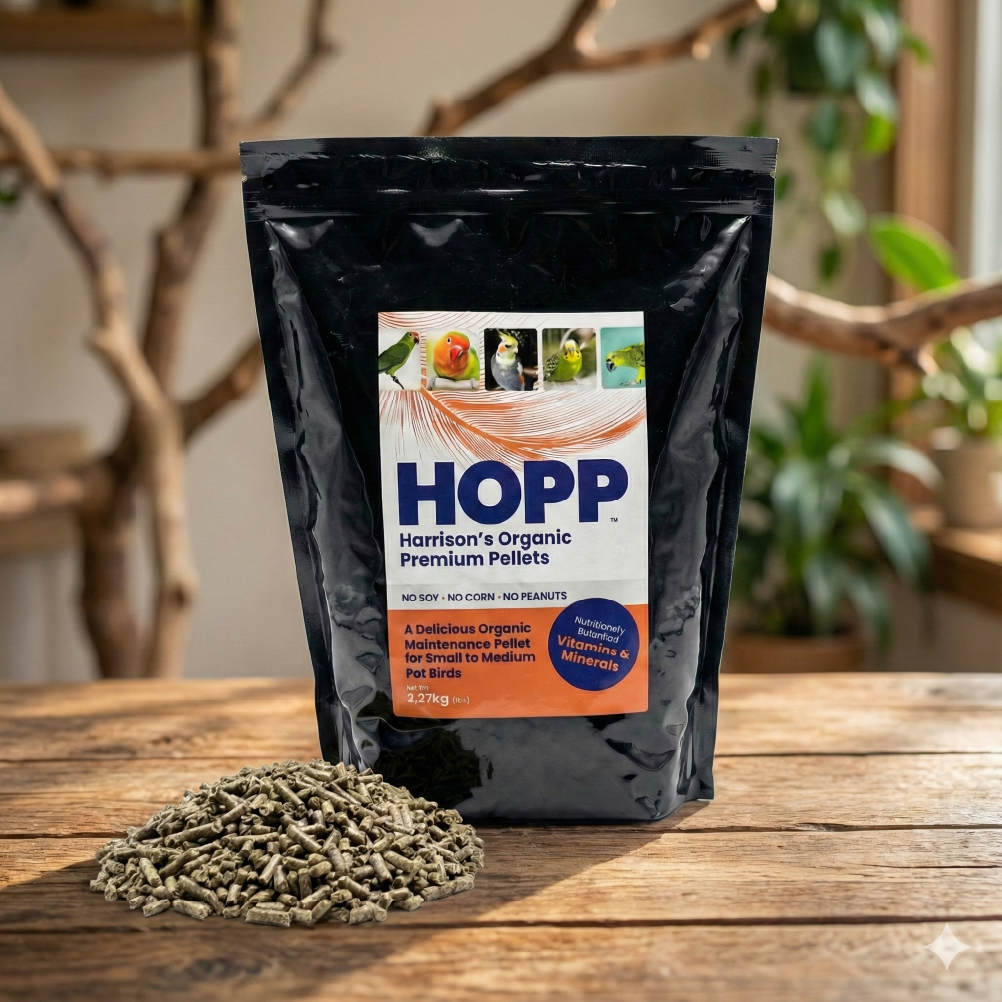 8 triků, jak naučit papouška na pelety Harrison's HOPP