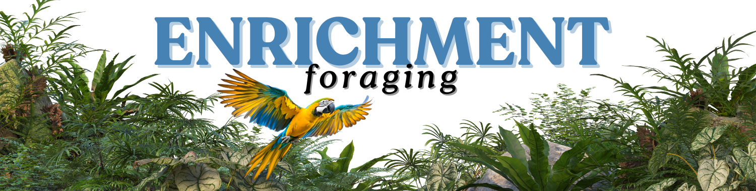 Obohacení prostředí