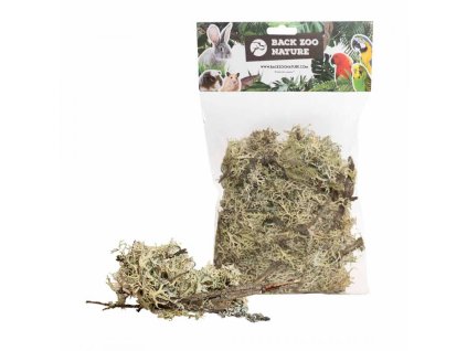 back zoo nature branch moss