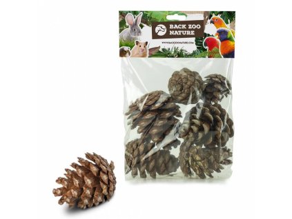 back zoo nature forest pine cones for birds (1)