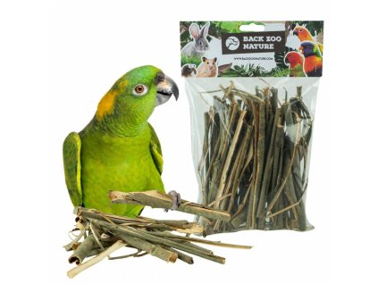 back zoo nature willow bark (3)