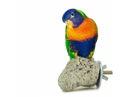 back zoo nature java lava stone