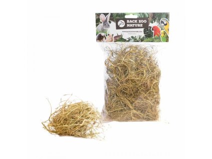 back zoo nature palm grass