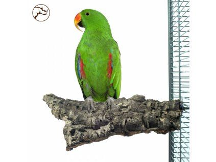 back zoo nature corky chew large (1)