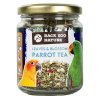 back zoo nature parrot tea leaves blossom