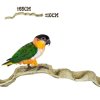 back zoo nature band liana 60 70 cm (3)