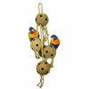back zoo nature coconut chain xl (2)