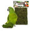 back zoo nature forest moss 70 gram (1)
