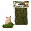 back zoo nature forest moss 70 gram (2)