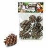 back zoo nature forest pine cones for birds (1)