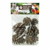 back zoo nature forest pine cones for birds (2)