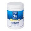 art 023148 recovery 600gr groot e1579516163332