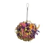 back zoo nature super shredding ball medium
