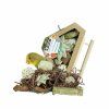 back zoo nature triangle foraging play corner