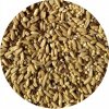 top s parrot napoleon seed mix small parrots 453 gram