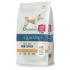 Quattro regular dog sportadult