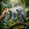 Rainforest Mist African Greys and Amazones