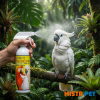 Rainforest Mist Cockatoos and Macaws