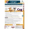 Calcigel