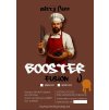 Booster Fusion
