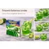 Trisanti Gelatina Limão 20g