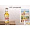 Sol Beer 300ml