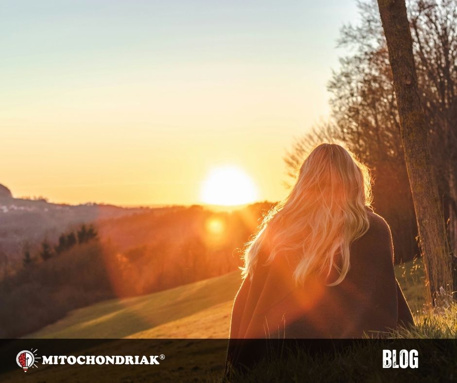 Vitamin D: How to create it naturally with the Maxi UVB panel? | Mitochondriak®