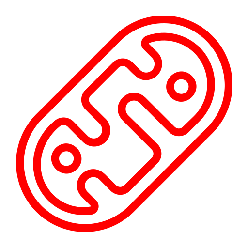 Support mitochondria