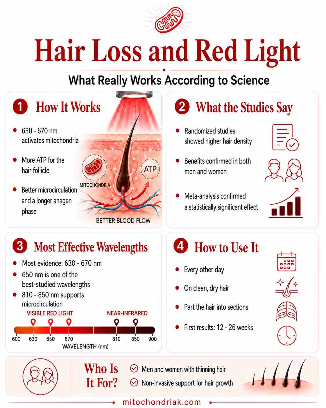 Red light therapy hair loss photobiomodulation infographic overview