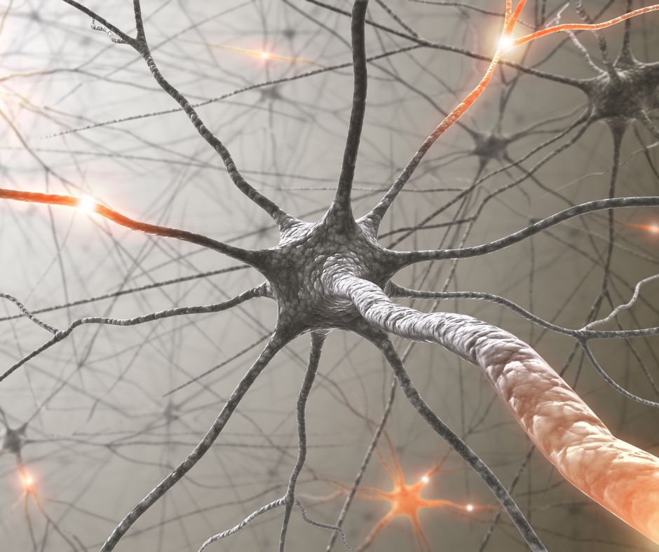 Illustration of a neuron and nerve cell showing the effect of near infrared light on brain cognition