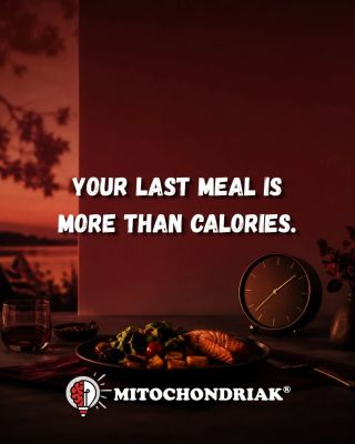 Your last meal is more than calories. It is also a timing signal. Light tells the brain when the day begins, while food...